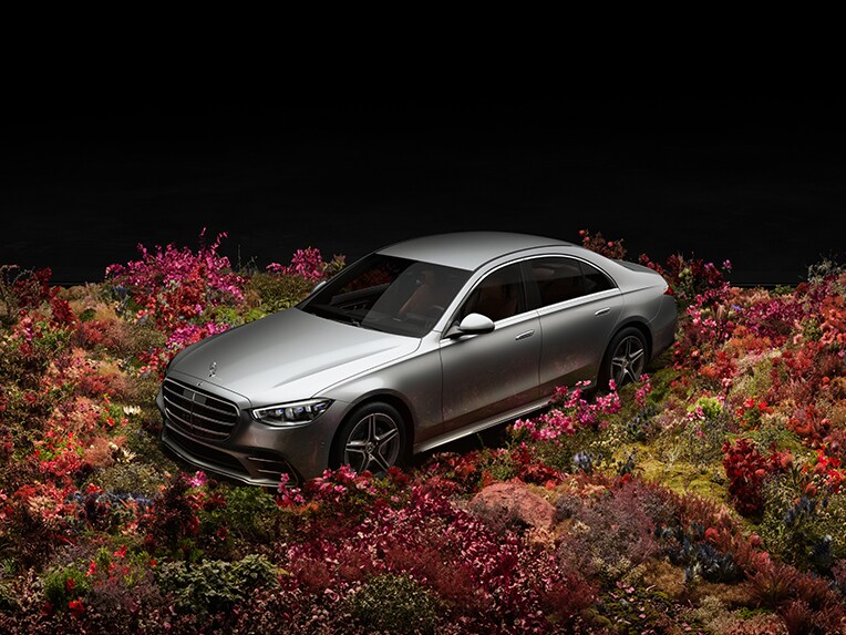 hình chụp sản phẩm S-Class