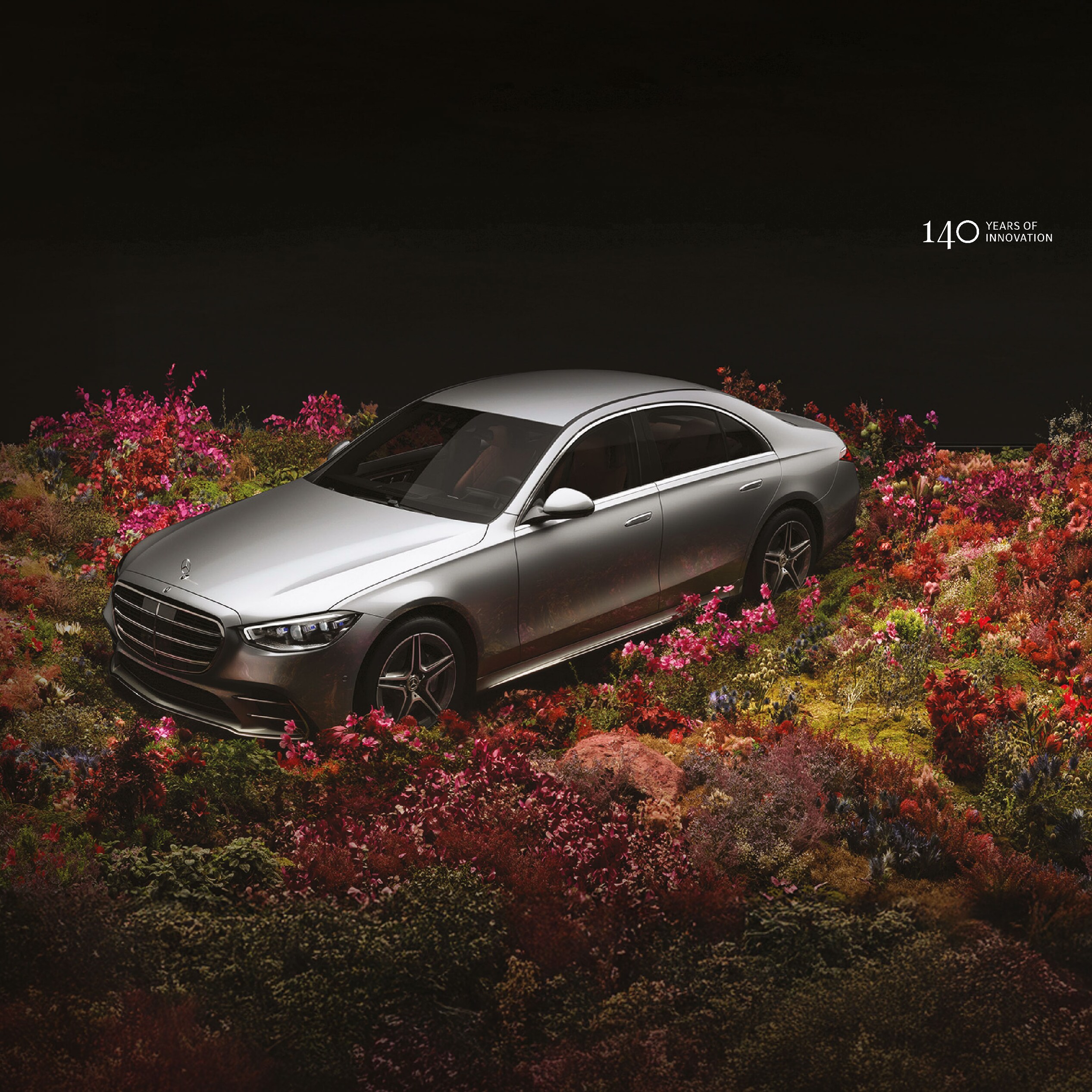 Một chiếc Mercedes-Benz S-Class trên cánh đồng hoa.
