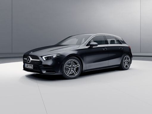 Satisfy your endless pasion for model cars